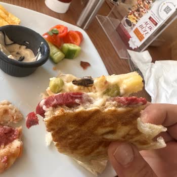 Kahvede Böcek Şoku