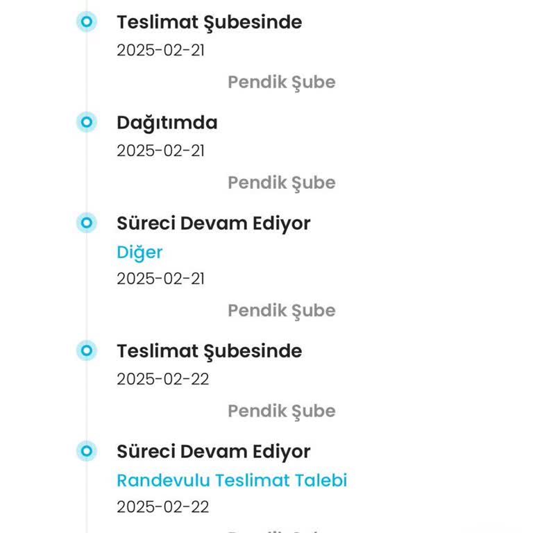 Stradivarius Kargo Teslimatında Aksaklık Ve Müşteri Hizmetleri Sorunu