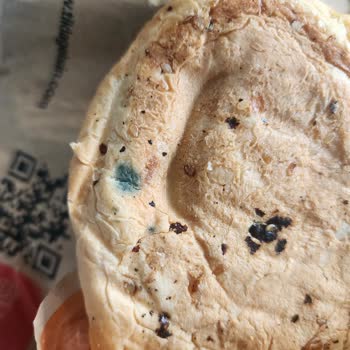 Küflü Hamburger Ve Eksik İade Sorunu