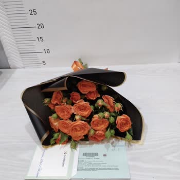 Yanıltıcı Görsellerle Hayal Kırıklığı