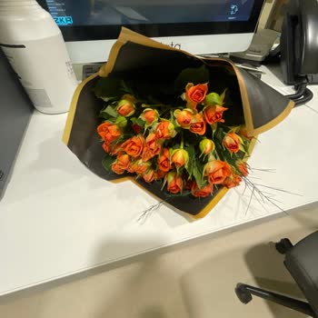 Yanıltıcı Görsellerle Hayal Kırıklığı