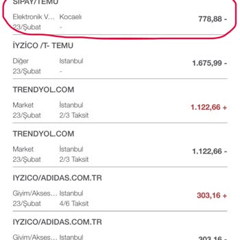 Temu Alışverişinde İptal Edilen Siparişin Para İadesi Sorunu