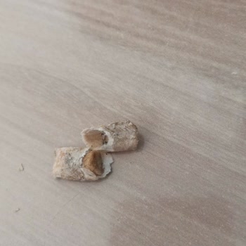 Tadım Ayçekirdeği Paketinden Çıkan Şok Edici Madde