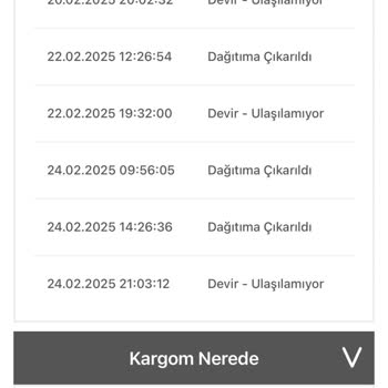 Kedi Maması Siparişim Neden Hâlâ Gelmedi