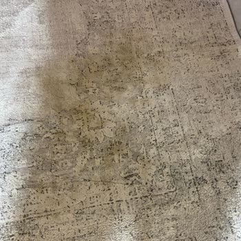 Kahve Lekesi İçin Asperox Kullanımı Halımı Mahvetti