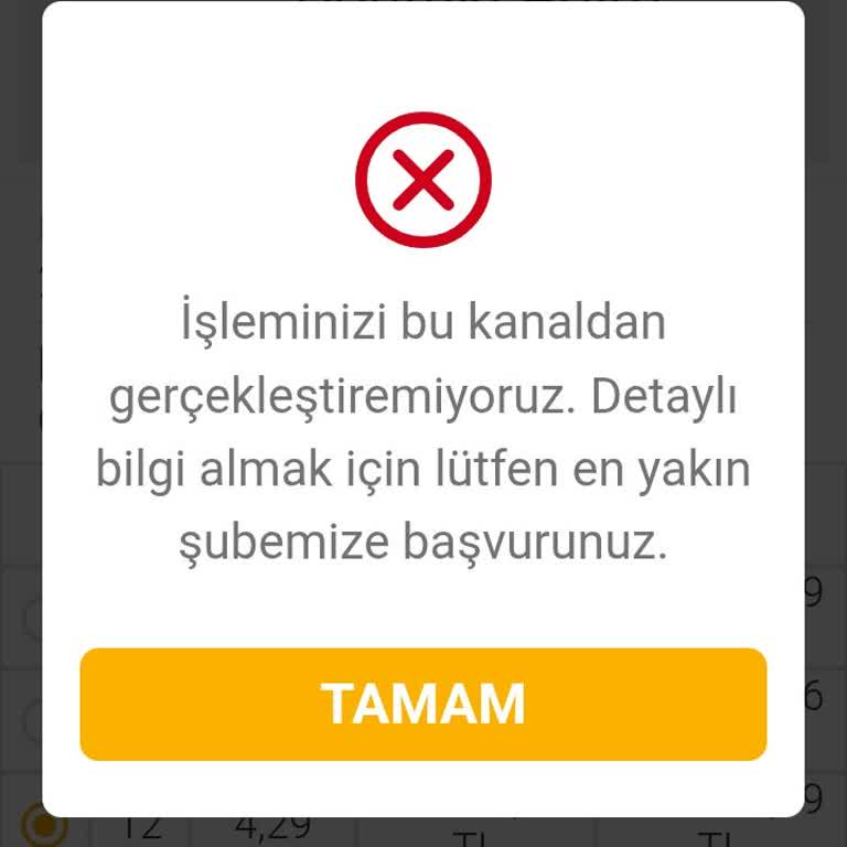 Sky Limit Müşterisinin Kredi Başvuru Sorunu