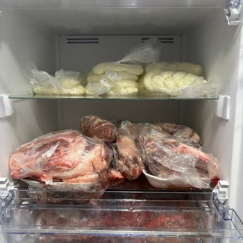 Beko Derin Dondurucu: Güvenilirlik Sorunu Ve Müşteri Hizmetleri Hayal Kırıklığı