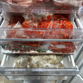 Beko Derin Dondurucu: Güvenilirlik Sorunu Ve Müşteri Hizmetleri Hayal Kırıklığı