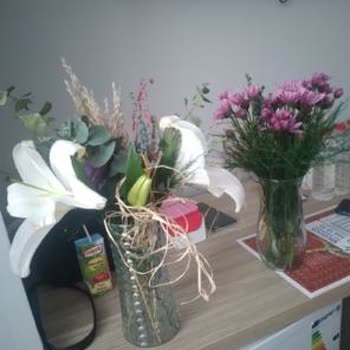 Hayal Kırıklığı Yaratan Çiçek Siparişi: Beklentiler Karşılanmadı