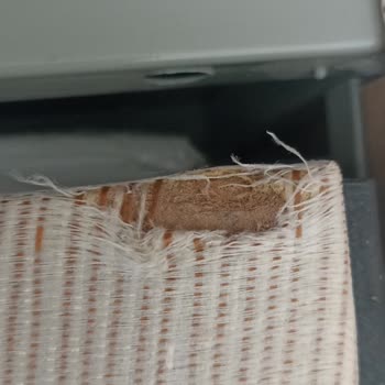 Bellona'nın Sorumsuzluğu Ve Müşteri Memnuniyetsizliği