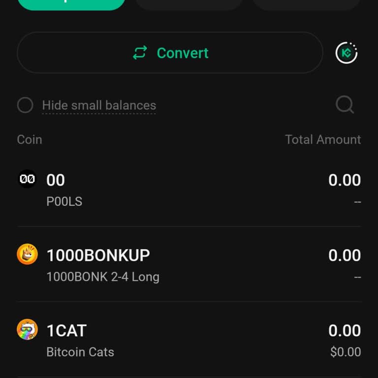 KuCoin Balance Issue – Unable to View My STAMP Coins