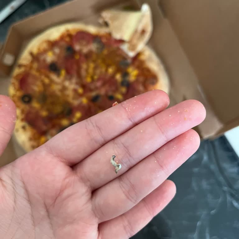 Soğuk Pizza ve Beklenmedik Sürpriz