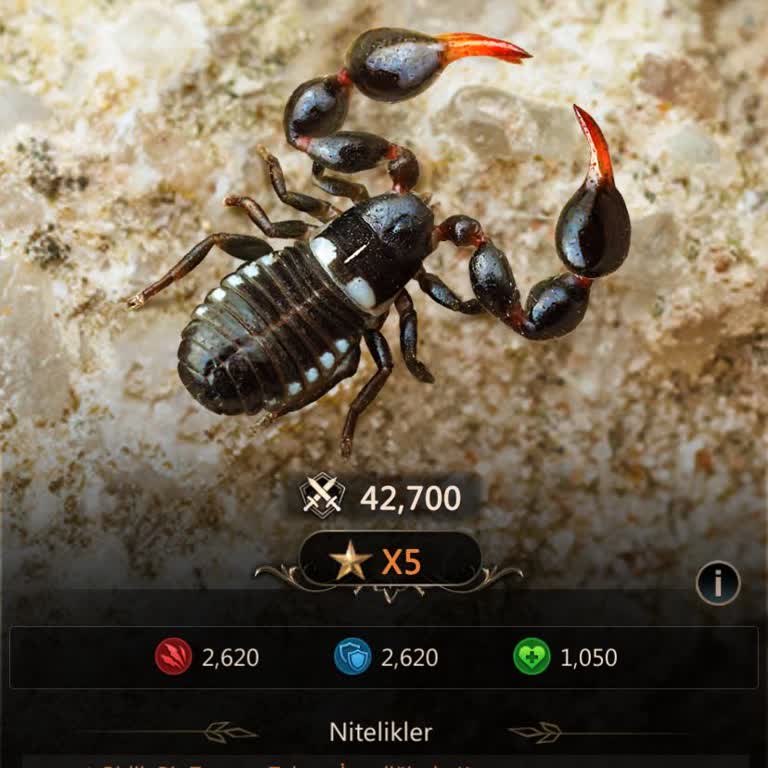 Oyun İçinde Satın Alınan Böceğin Değeri Düşürüldü