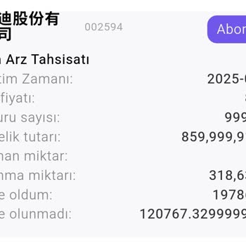 Geri Alınamayan Yatırımlar Ve Kilitli Hesap Sorunu