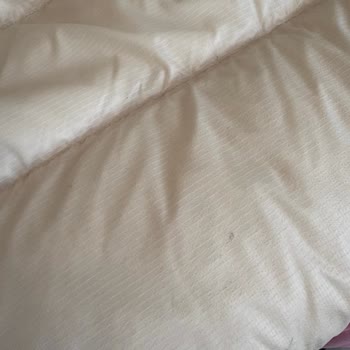 Akman Kuru Temizleme Hizmetinde Yüksek Fiyat ve Yetersiz Temizlik