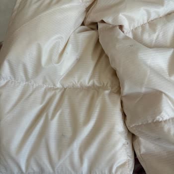 Akman Kuru Temizleme Hizmetinde Yüksek Fiyat ve Yetersiz Temizlik