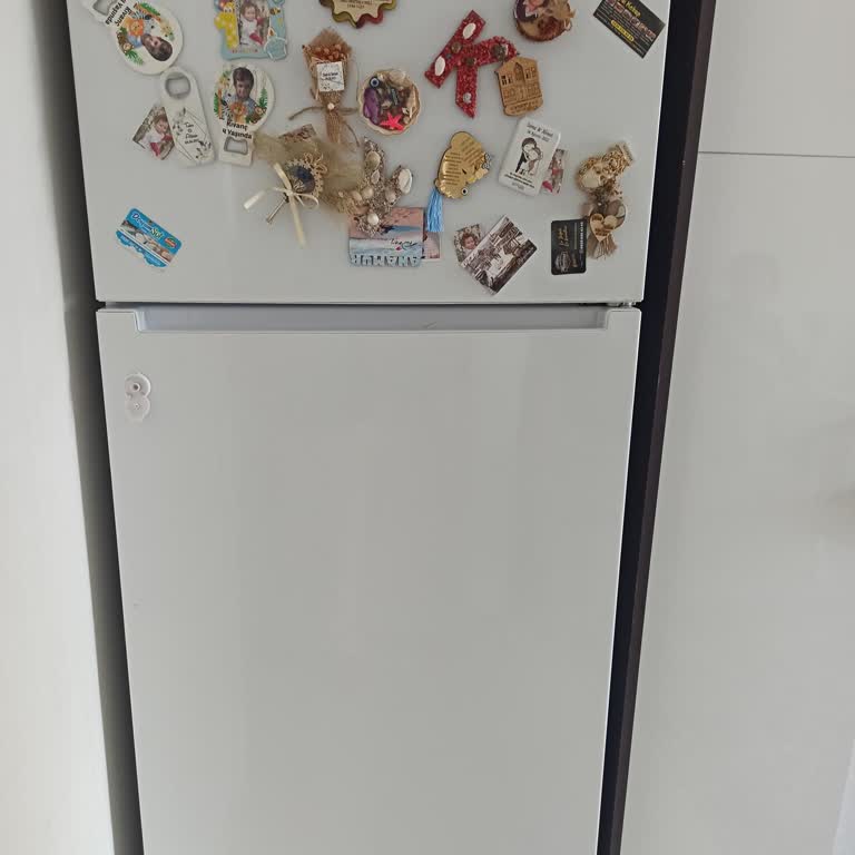 Arçelik Buzdolabı Hayal Kırıklığı: Gövde Şişmesi Ve Yetersiz Müşteri Hizmeti