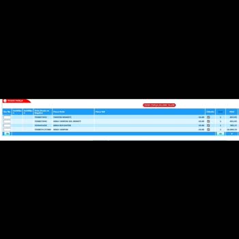 İkitelli Servisinde Ticari Araç Mağduriyeti