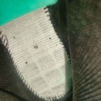 Puma Botlarında Topuk Çökmesi Ve Yetersiz Müşteri Hizmeti