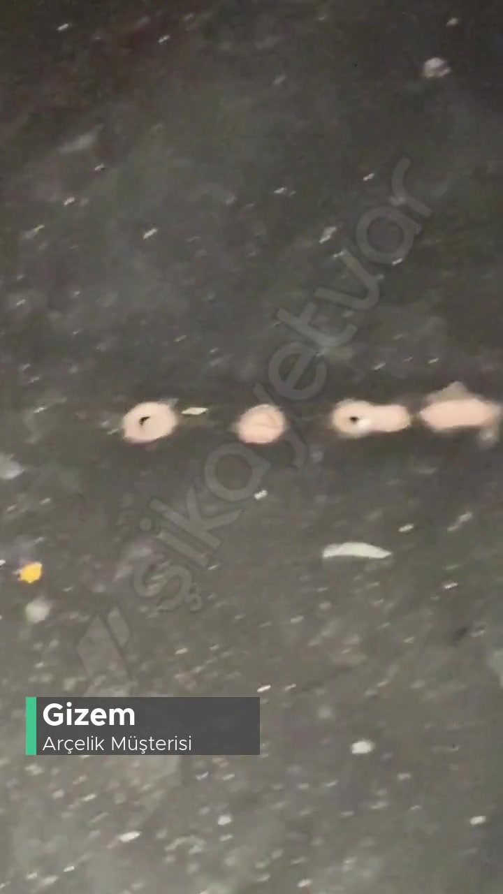 Arçelik Fırınımın Tabanı Delindi! videonun kapak resmi