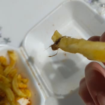 Patates Kızartmasında İstenmeyen Misafir!