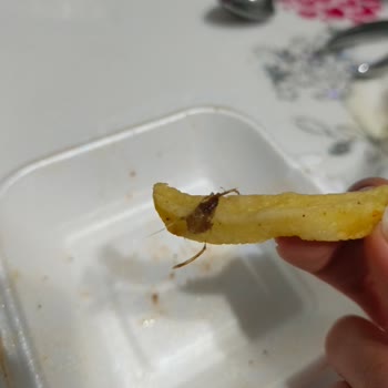 Patates Kızartmasında İstenmeyen Misafir!