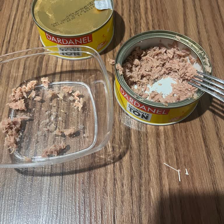 Dardanel Ton Balığında Kılçık Şoku