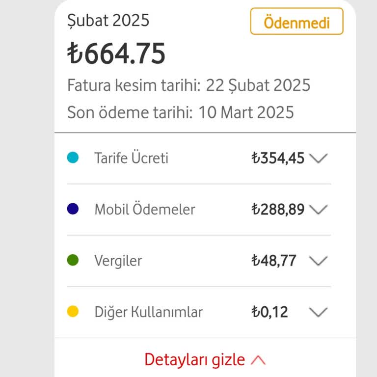 Onaysız Abonelik Ve İade Talebi