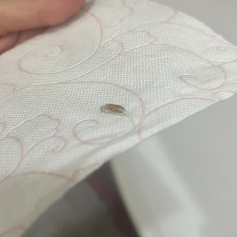 Selpak Tuvalet Kağıdında Şok Edici Kurt Problemi