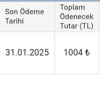 Beklenmedik Yüksek Doğalgaz Faturalarıyla Karşı Karşıya