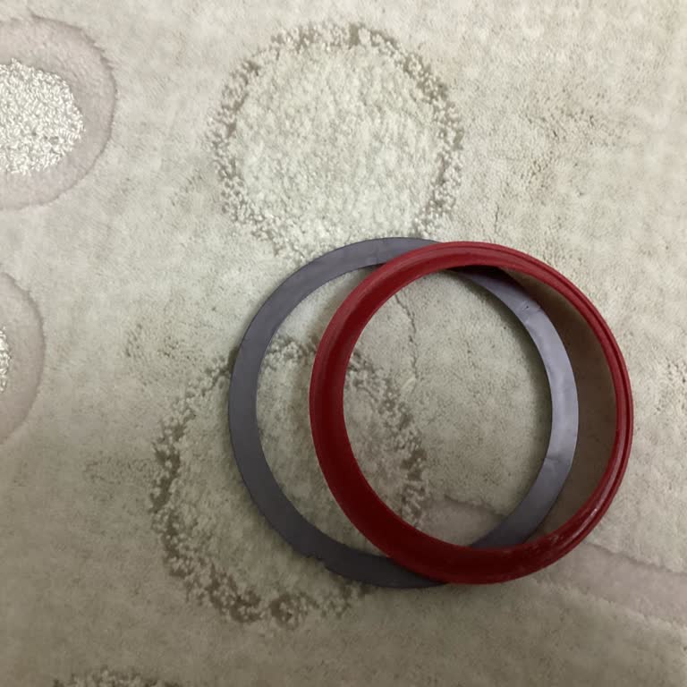 Dyson Süpürgemin Toz Haznesi Sorunu