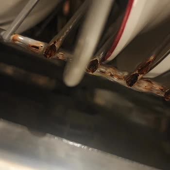 Samsung Bulaşık Makinesi Paslanma Sorunu Ve Garanti Sonrası Hizmet Eksikliği