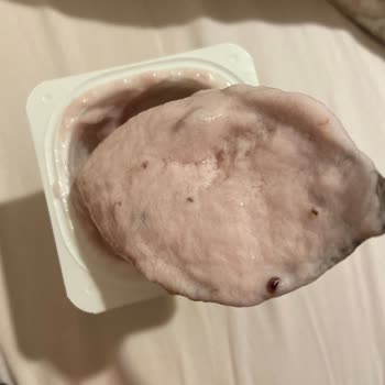 Tarihi Geçmemiş Yoğurt Nasıl Bozulur?