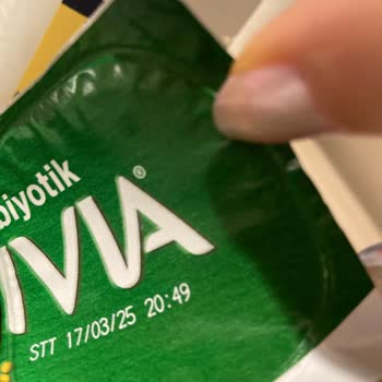 Tarihi Geçmemiş Yoğurt Nasıl Bozulur?