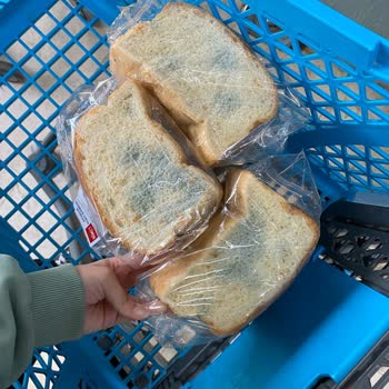 Küflü Tost Ekmeği Şoku: Son Kullanma Tarihi Geçmemiş Ama Küf İçinde!