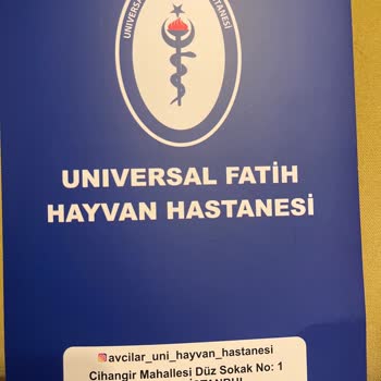 Veteriner Kliniğinde Yaşanan Trajik Deneyim