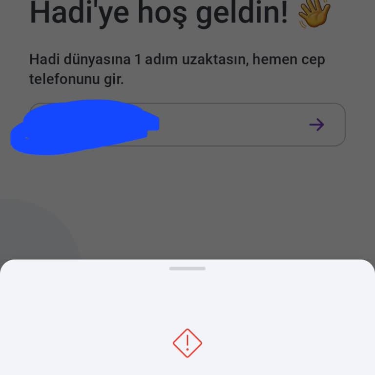 Hesap Girişi Ve Şifre Sorunu