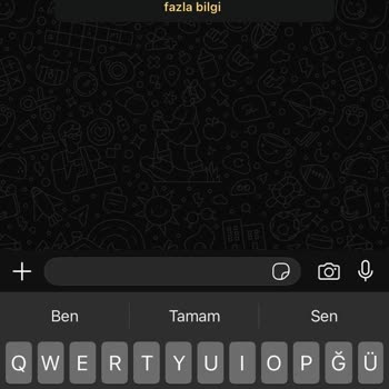 İphone 11'de Aniden Kaybolan WhatsApp Uygulaması Ve Veriler