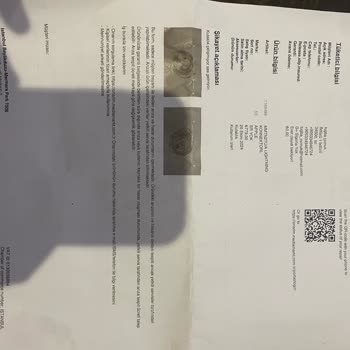 Garanti Kapsamı Dışında Kalan Kulaklık Sorunu