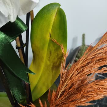 Çiçek Sepeti'nden Gelen Hayal Kırıklığı: Solmuş Orkide Ve Yetersiz Müşteri Hizmeti