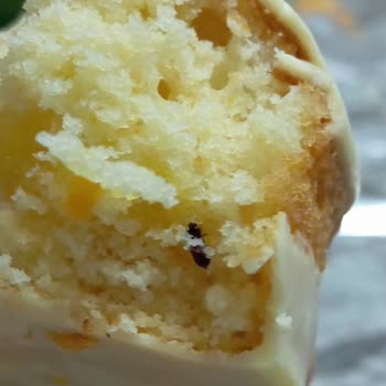 Eti Popkek'te Şok Edici Böcek Sürprizi