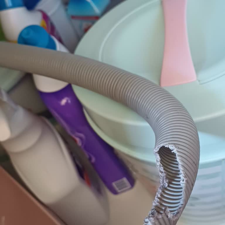 Kanalizasyon Fareleri Evimizi İstila Ediyor: Acil Çözüm Bekliyoruz