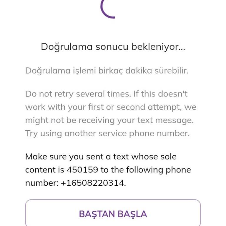 Pi Network Şifre Yenileme Sorunu Ve Doğrulama Problemi