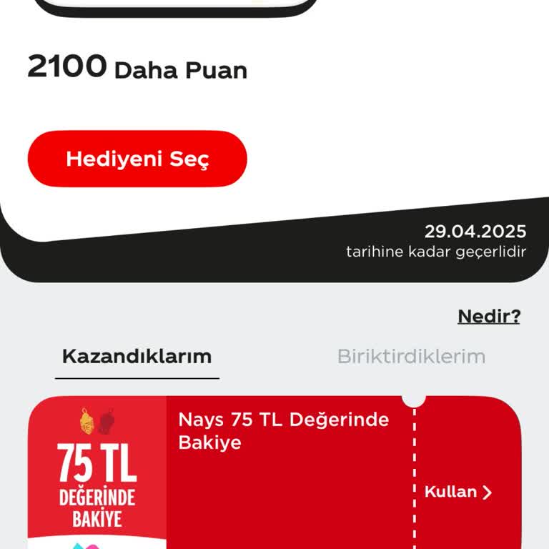 Nays Bakiye Kullanım Sorunu