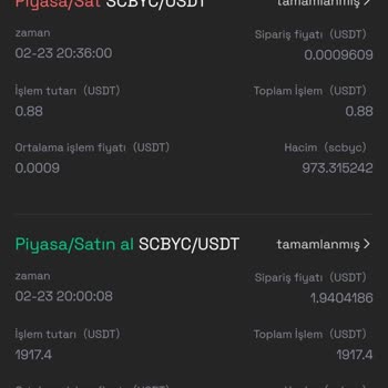 Onix Exchange Kripto Yatırımında Büyük Kayıp