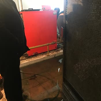 Kanalizasyon Tıkanıklığı Sebebiyle Apartmanımızda Süregelen Sorun