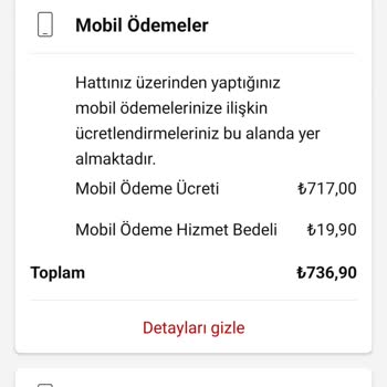 İzinsiz Dijital Servis Üyelikleri
