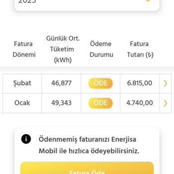 Enerjisa'nın Fahiş Faturaları: Evde Fabrika Mı Çalıştırıyoruz?