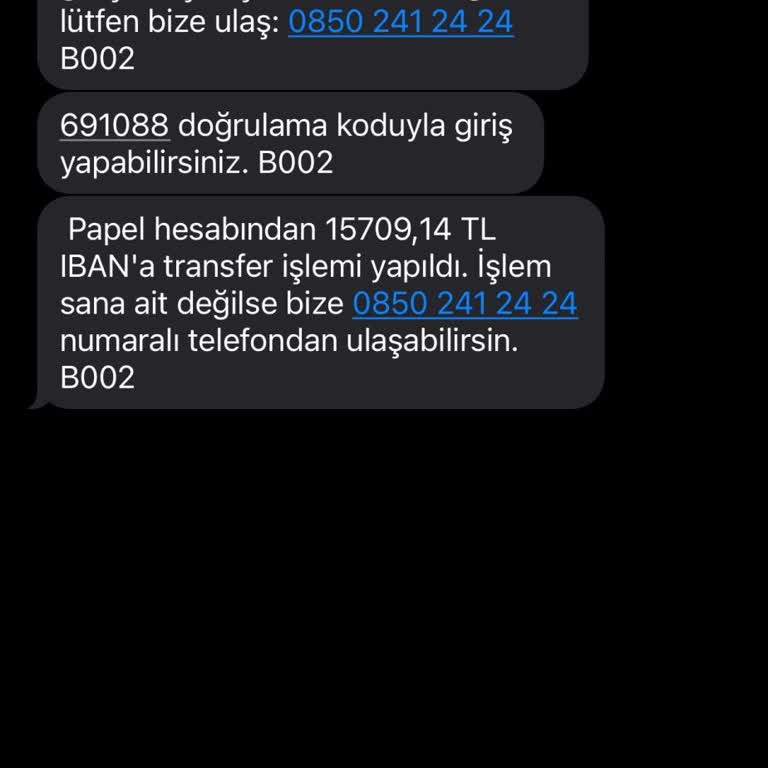 Papel Hesabımdan İzinsiz Para Çekimi