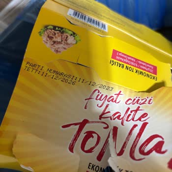 Bozuk Ton Balığı Ve Kötü Koku Şoku